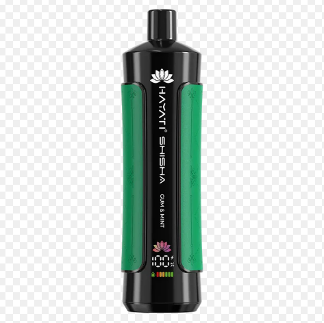 Hayati Pro Max Shisha 15000 Puffs Disposable Vape UK, with Green colour and having Gum & Mint  flavour.